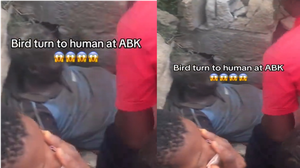 Flying bird mysteriously turns into human being in Nigeria